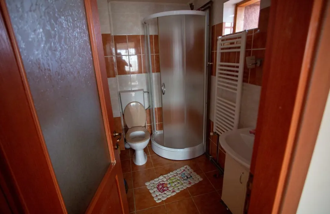 Vila Tei Guesthouse-1