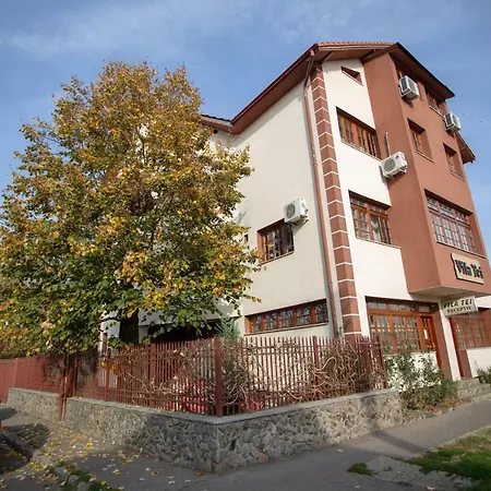 Vila Tei Guesthouse-3